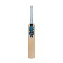 Diamond 404 Cricket Bat Jr