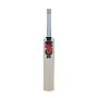 Radon Cricket Bat Sn43