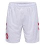 Denmark Home Shorts 2024 Adults