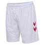 Denmark Home Shorts 2024 Adults