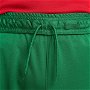 Portugal Home Shorts 2024 Adults
