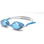 Chrome Mirror Goggles Adults