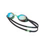 Legacy Mirror Goggles Juniors