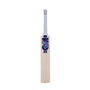 300 Cricket Bat Junior