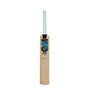 Diamond 200 Cricket Bat Harrow