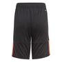 Sereno Training Shorts Juniors