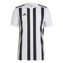 Striped 21 Jersey Mens T Shirt