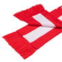 Euros 2024 Football Scarf