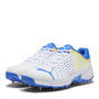 Spike 22.1 Cricket Shoes