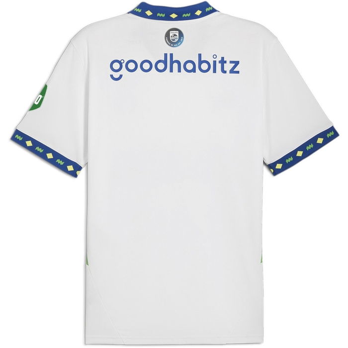 PSV Eindhoven Third Shirt 2024 2025 Adults