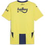 Fenerbahce Home Shirt 2024 2025 Adults