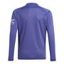 Manchester United Goalkeeper Long Sleeve Top 2024 2025 Juniors