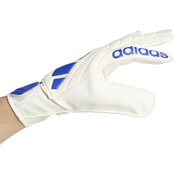 Copa Goalkeeper Gloves Adults