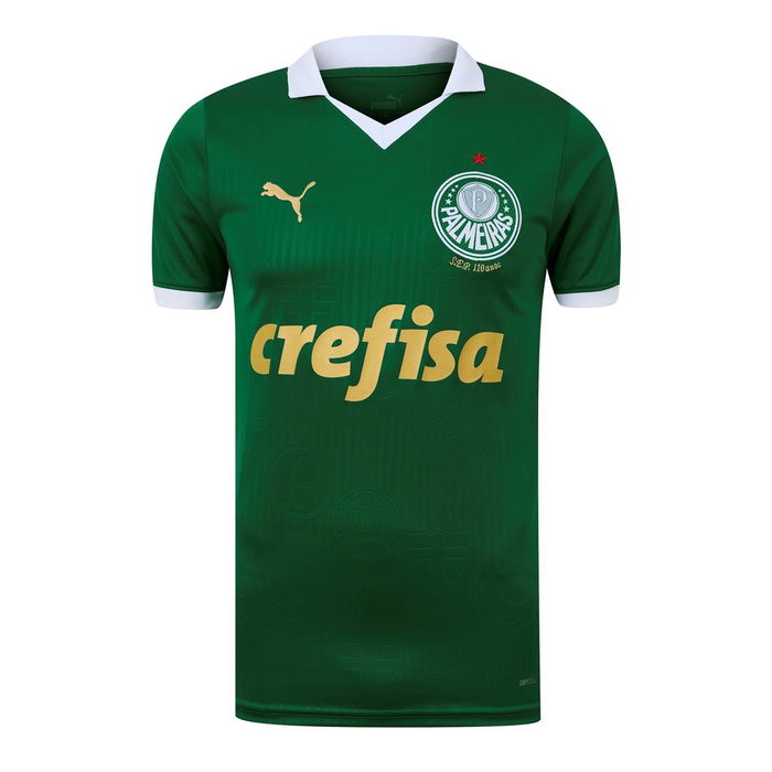 Palmeiras Home Kit 2024 2025 Adults