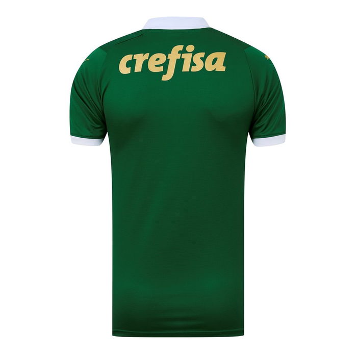 Palmeiras Home Kit 2024 2025 Adults