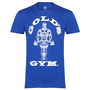 Gym Muscle Joe T Shirt Mens