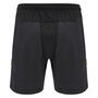 Wales 24/25 Training Shorts Mens