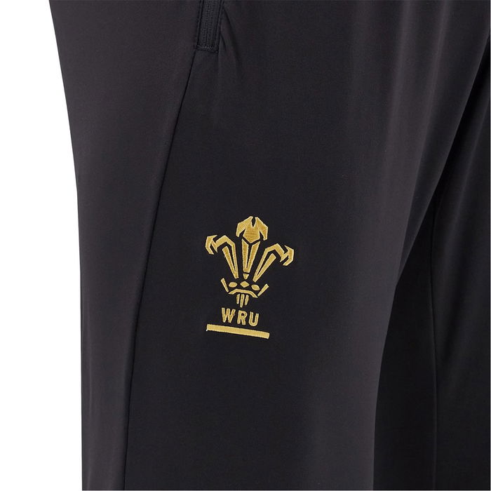 Wales 24/25 Training Pants Kids