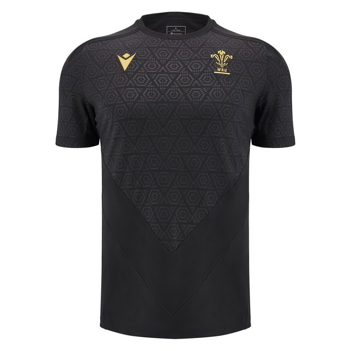 Wales 24/25 Training T-Shirt Mens