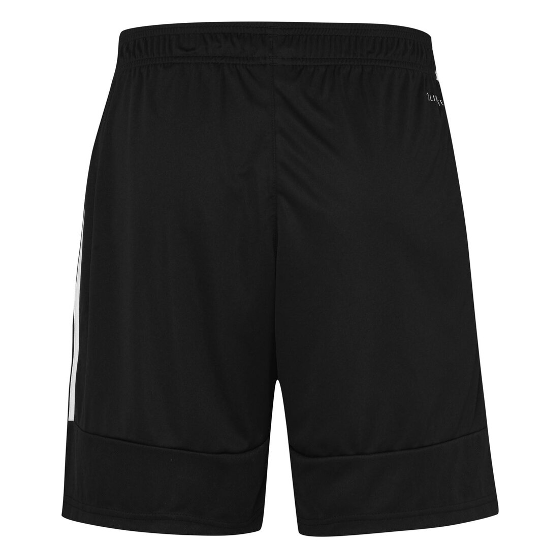 Shorts on sale with net