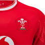 Wales 24/25 Home Shirt Kids