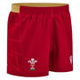 Welsh Rugby Union Shorts 2024 2025 Adults