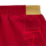 Welsh Rugby Union Shorts 2024 2025 Adults