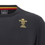 Wales Rugby Union T Shirt 2024 Juniors