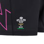 Welsh Rugby Union Shorts 2024 2025 Juniors