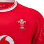 Wales 24/25 Home Shirt Mens