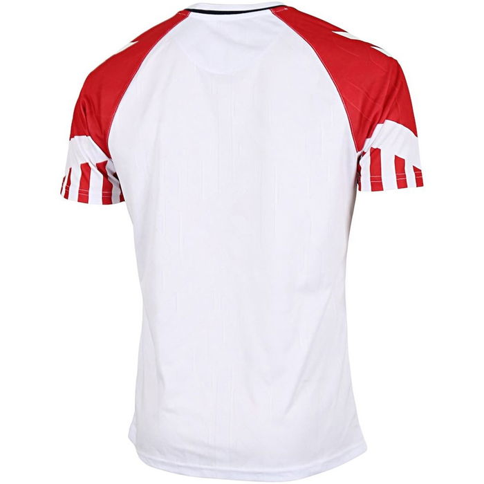 Denmark Away Shirt 2023 Adults