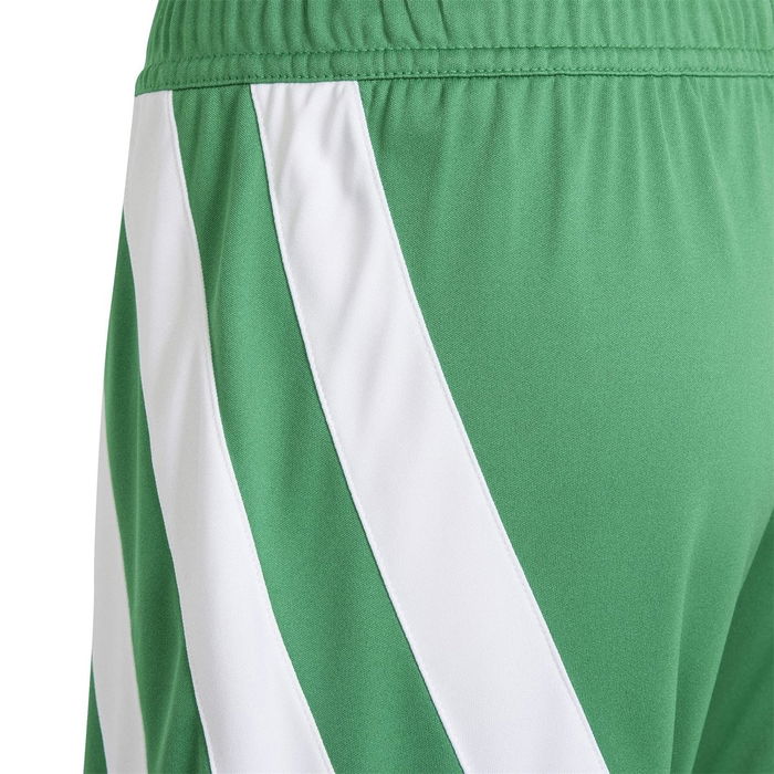 Fortore 23 Football Shorts Juniors