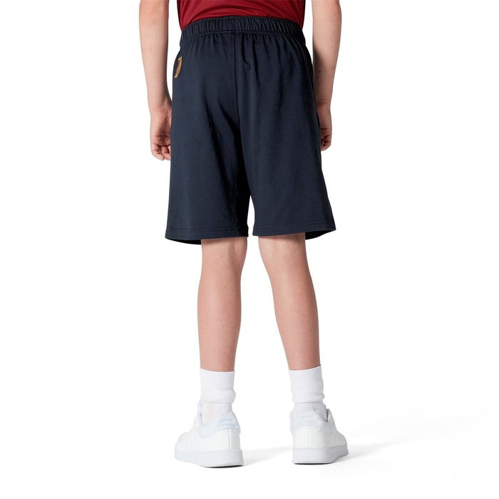 British and Irish Lions 2025 Training Shorts Juniors