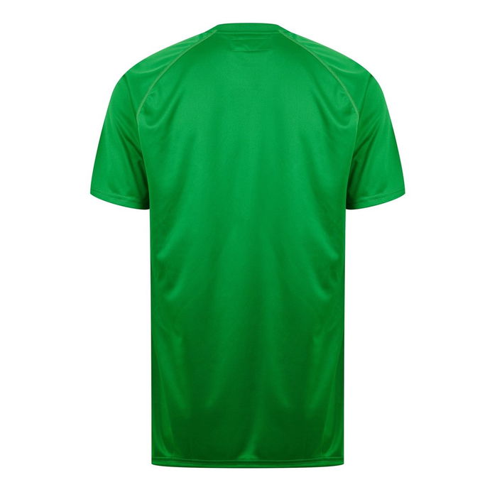 Celtic Poly T shirt Adults