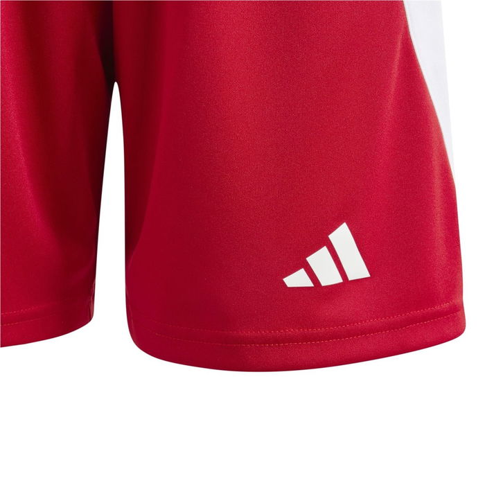 Fortore 23 Football Shorts Juniors