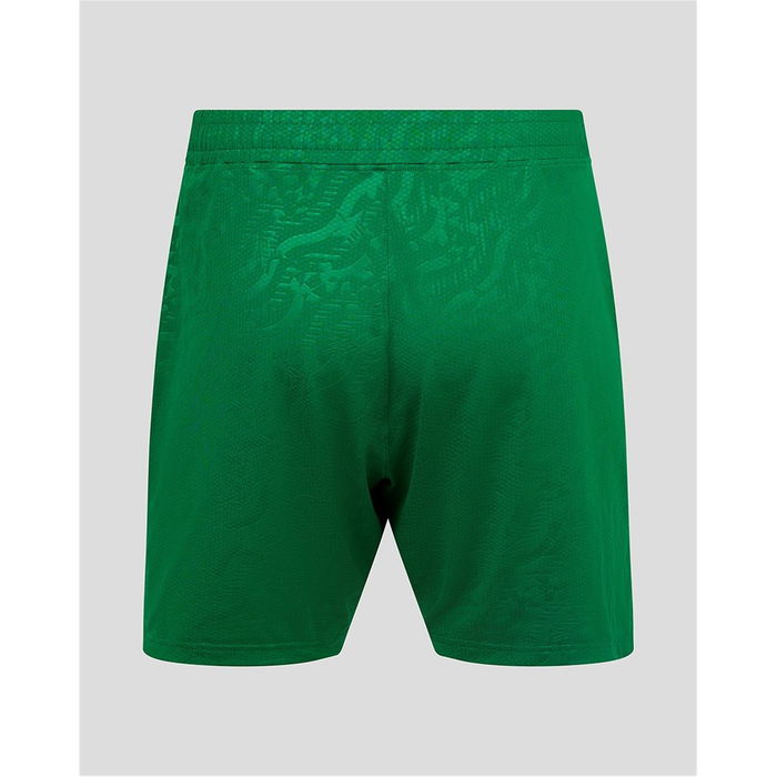 Ireland Third Match Shorts 2025 Adults