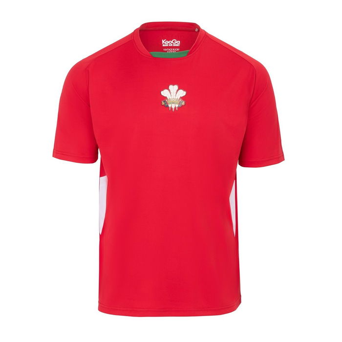 Wales Supporters T-Shirt Mens