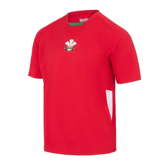 Wales Supporters T-Shirt Mens