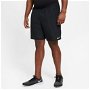 Stride 2in1 Shorts Mens