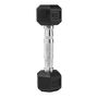 Hexagonal Dumbbell for Home Workouts