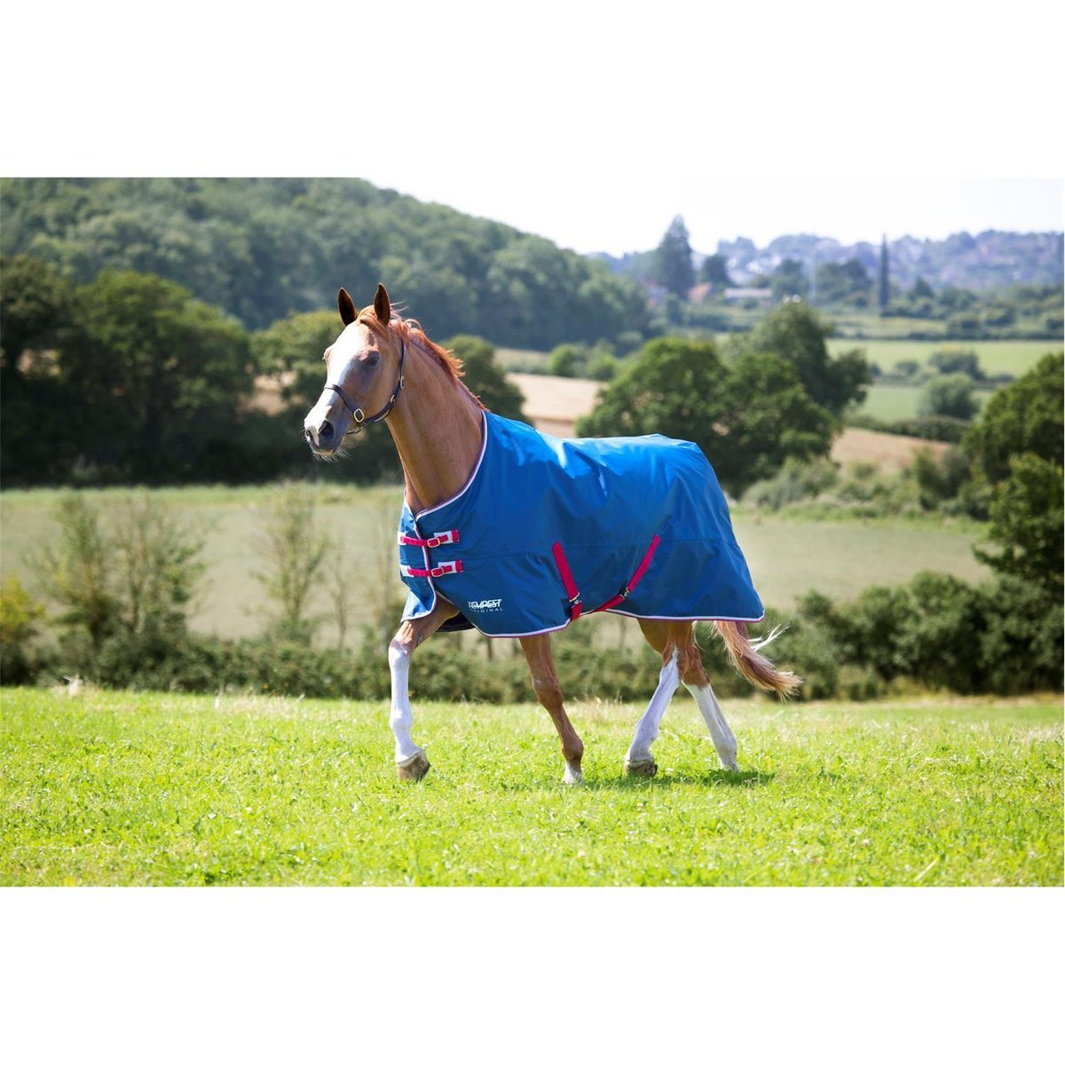Turnout Rugs - Robinsons Equestrian