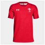 Wales WRU 2018/19 Kids Home Unsponsored S/S Replica Shirt