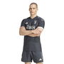 Juventus Third Authentic Shirt 2023 2024 Adults