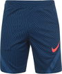 Dri FIT Strike Mens Soccer Shorts