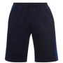 Savona Shorts Mens