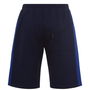 Savona Shorts Mens