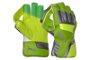 evoPower 2 Junior Wicket Keeping Gloves