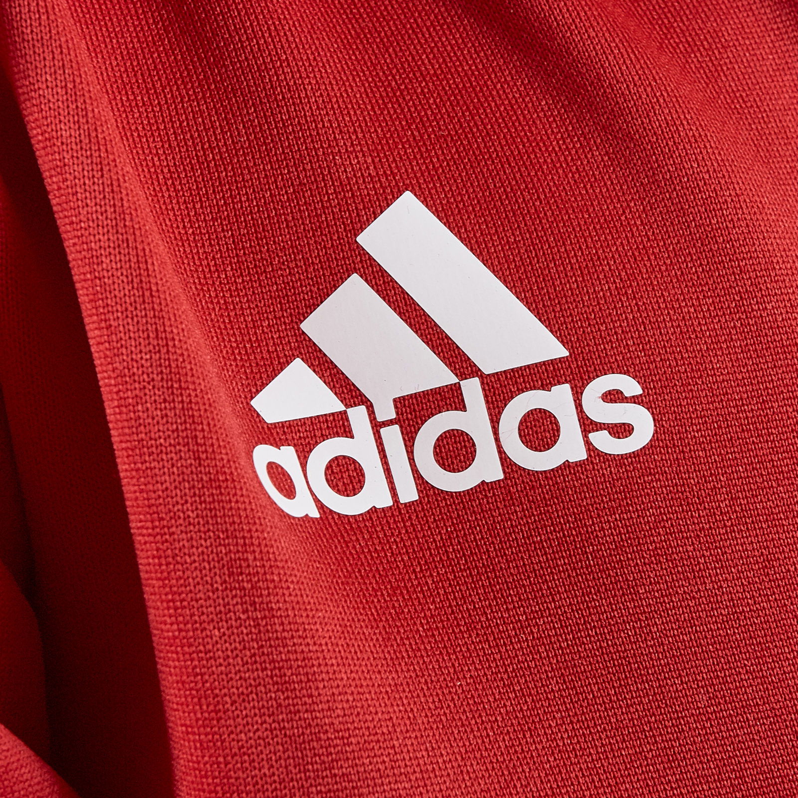 Adidas t16 2024 crew sweat