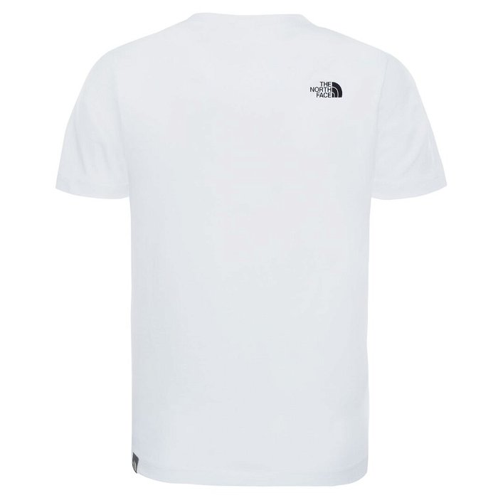 Simple Dome T Shirt