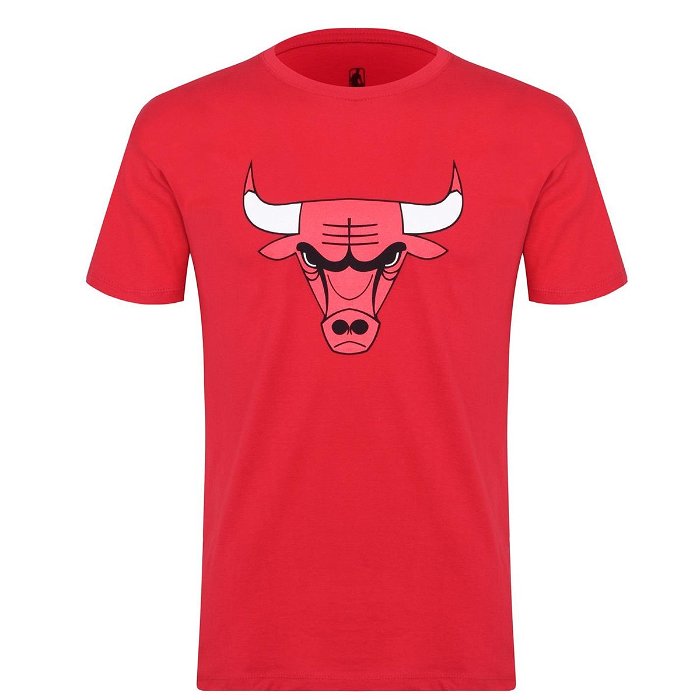 Chicago Bulls Logo T Shirt Mens
